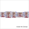 Under the Canopy [CD]