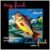 Big Fish Little Fish Volume 1 - Emerging Women in Chicago Music [CD]