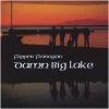 Damn Big Lake [CD]