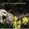 Between the Beautifuls [CD]