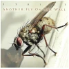 Another Fly on the Wall [CD]