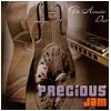 The Acoustic Duo - Precious Jam [CD]