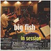 Big Fish Jazz Orchestra - In Session [CD]