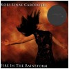 Fire in the Rainstorm [CD]