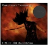 Fire in the Rainstorm [CD]