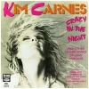 Crazy in the Night [CD]