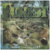 Ambient Forest - The Ultimate Sounds of Nature [CD]