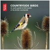 Countryside Birds: An Audio Guide to the Bird Sounds of the British Countryside - CD with Booklet [CD]