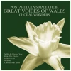 Great Voices Of Wales: Choral Wonders [CD]