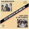 The Grass Roots/ Garry Lewis & The Playboys: Best of 2 Super Acts [CD]