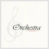 Orchestra [CD]