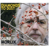 Diamonds to Dust [CD]
