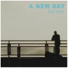 A New Day [Vinyl]