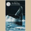 Solitudes: Journey With the Whales [Tape]