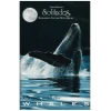 Solitudes: Journey With the Whales [Tape]