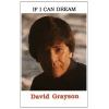 If I Can Dream [Tape]