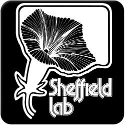 Sheffield Lab
