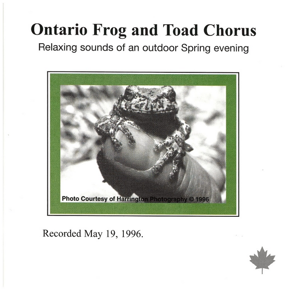 Ontario Frog and Toad Chorus: Relaxing Sounds of an Outdoor Spring Evening