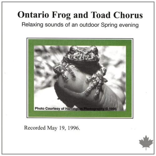 Ontario Frog and Toad Chorus: Relaxing Sounds of an Outdoor Spring Evening