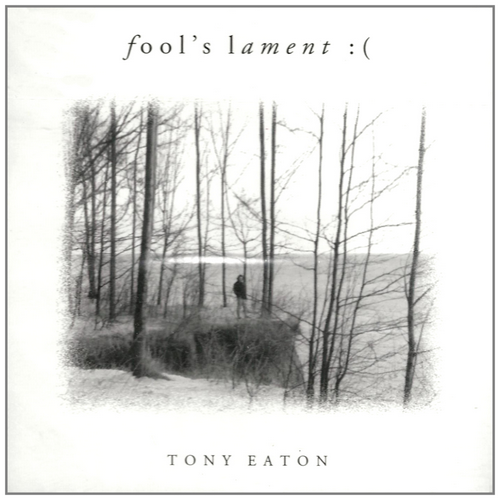 Fool's Lament