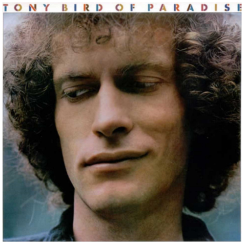 Tony Bird Of Paradise