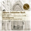 Bach: Cantatas Highlights (2 CDs)