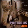 The Acoustic Duo - Precious Jam