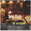 Big Fish Jazz Orchestra - In Session