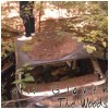 The Woods [CD]