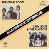 The Grass Roots/ Garry Lewis & The Playboys: Best of 2 Super Acts [CD]