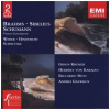 Violin Concertos: Brahms, Sibelius, Schumann, Weber, Hindemith, Schnittke (2 CDs)