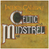 Celtic Minstrel