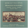 Musik Auf Villa Hugel: Prager Konzert (box set)
