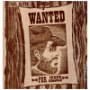 Wanted For Jesus