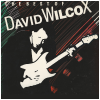 Best of David Wilcox