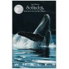 Solitudes: Journey With the Whales