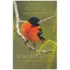 Songbird Symphony Gibson